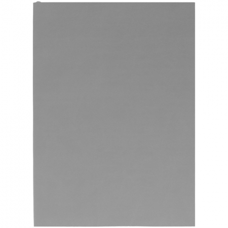 Ежедневник Flat Light, недатированный, серый купить с нанесением логотипа оптом на заказ в интернет-магазине Санкт-Петербург