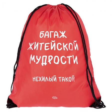 Рюкзак «Багаж житейской мудрости», красный купить с нанесением логотипа оптом на заказ в интернет-магазине Санкт-Петербург