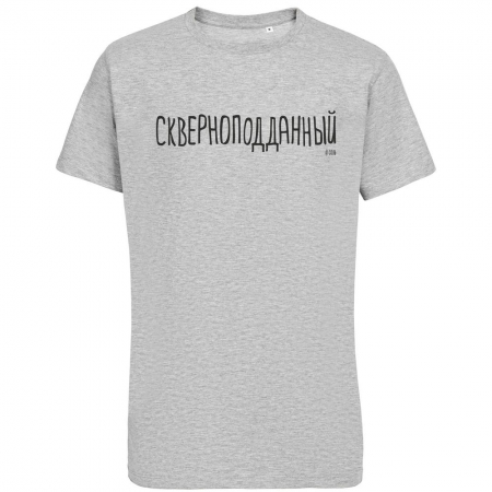 Футболка «Скверноподданный», серый меланж купить с нанесением логотипа оптом на заказ в интернет-магазине Санкт-Петербург