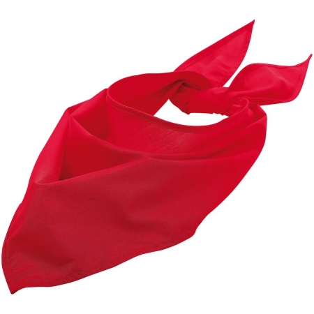 Шейный платок Bandana, красный купить с нанесением логотипа оптом на заказ в интернет-магазине Санкт-Петербург