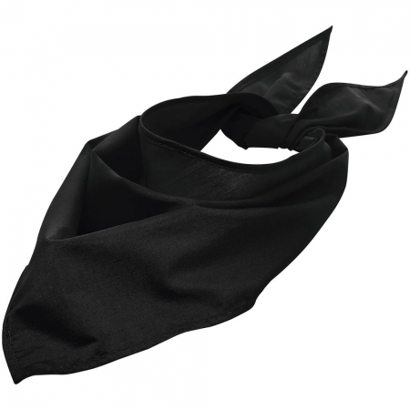 Шейный платок Bandana, черный купить с нанесением логотипа оптом на заказ в интернет-магазине Санкт-Петербург