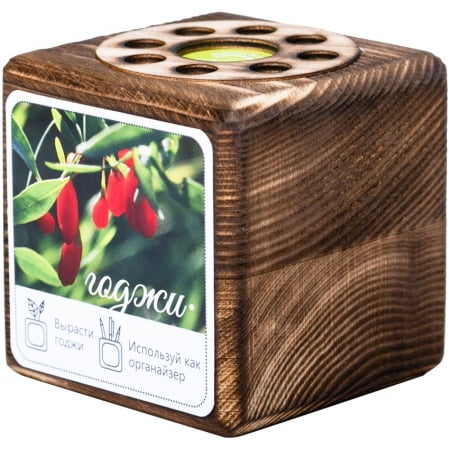 Набор для выращивания с органайзером «Экокуб Burn», годжи купить с нанесением логотипа оптом на заказ в интернет-магазине Санкт-Петербург