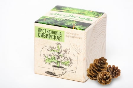 Набор для выращивания «Экокуб», лиственница сибирская купить с нанесением логотипа оптом на заказ в интернет-магазине Санкт-Петербург