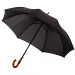 Зонт трость Rainhard, черный