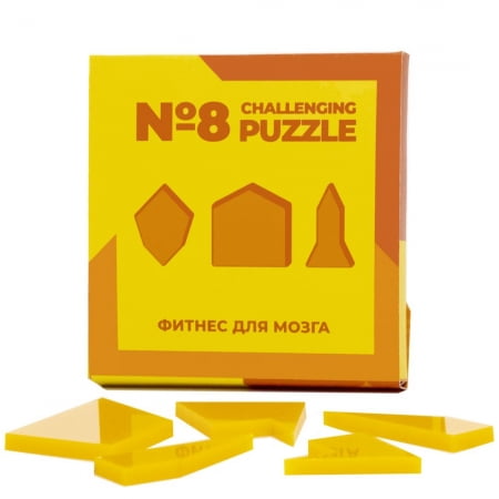 Головоломка Challenging Puzzle Acrylic, модель 8 купить с нанесением логотипа оптом на заказ в интернет-магазине Санкт-Петербург