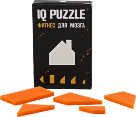 Головоломка IQ Puzzle, домик купить с нанесением логотипа оптом на заказ в интернет-магазине Санкт-Петербург