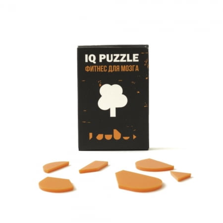 Головоломка IQ Puzzle, дерево купить с нанесением логотипа оптом на заказ в интернет-магазине Санкт-Петербург