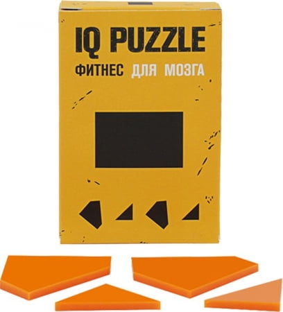 Головоломка IQ Puzzle Figures, прямоугольник купить с нанесением логотипа оптом на заказ в интернет-магазине Санкт-Петербург