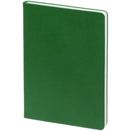 Ежедневник Eversion, недатированный, зеленый купить с нанесением логотипа оптом на заказ в интернет-магазине Санкт-Петербург