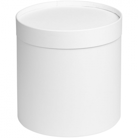 Коробка Circa L, белая купить с нанесением логотипа оптом на заказ в интернет-магазине Санкт-Петербург