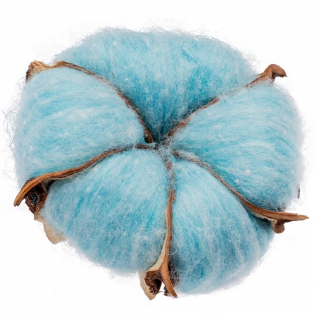 Цветок хлопка Cotton, голубой купить с нанесением логотипа оптом на заказ в интернет-магазине Санкт-Петербург