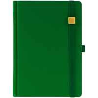 Ежедневник Favor Gold, недатированный, ярко-зеленый купить с нанесением логотипа оптом на заказ в интернет-магазине Санкт-Петербург