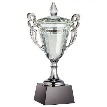 Кубок Victorious, малый купить с нанесением логотипа оптом на заказ в интернет-магазине Санкт-Петербург