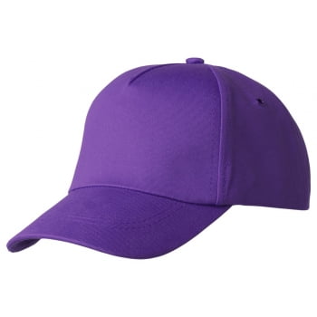Бейсболка Bizbolka Convention, фиолетовая купить с нанесением логотипа оптом на заказ в интернет-магазине Санкт-Петербург