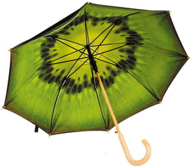Зонт «Киви» купить оптом с нанесение логотипа в Санкт-Петербурге