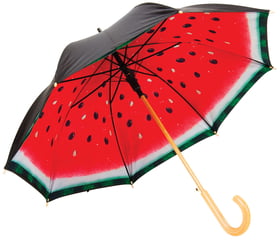 Зонт "Арбуз" купить оптом с нанесение логотипа в Санкт-Петербурге