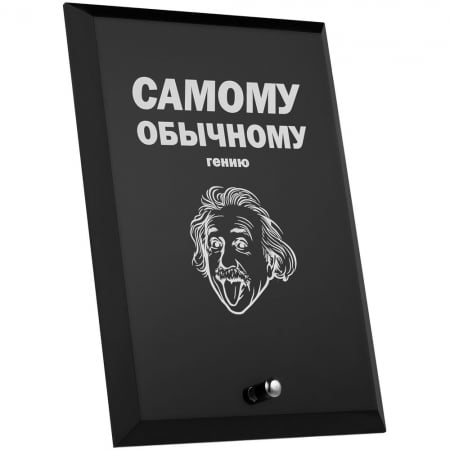 Награда с юмором «Гений» купить с нанесением логотипа оптом на заказ в интернет-магазине Санкт-Петербург