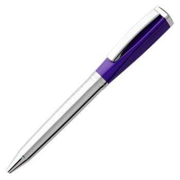 Ручка шариковая Bison, фиолетовая купить с нанесением логотипа оптом на заказ в интернет-магазине Санкт-Петербург