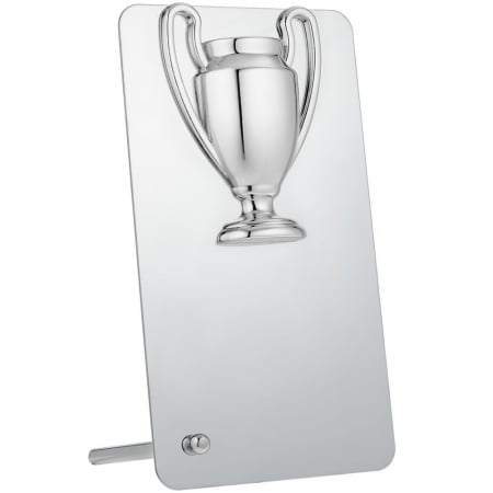 Награда Bowl Silver купить с нанесением логотипа оптом на заказ в интернет-магазине Санкт-Петербург
