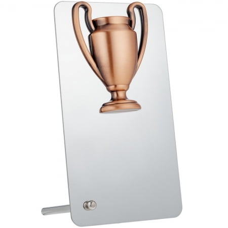 Награда Bowl Bronze купить с нанесением логотипа оптом на заказ в интернет-магазине Санкт-Петербург