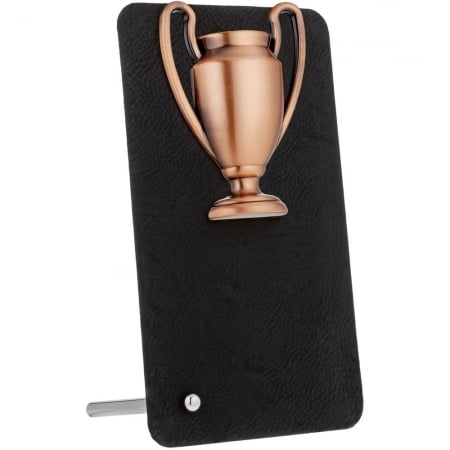 Награда Triumph Bronze купить с нанесением логотипа оптом на заказ в интернет-магазине Санкт-Петербург