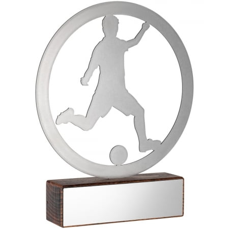 Награда Acme, футбол купить с нанесением логотипа оптом на заказ в интернет-магазине Санкт-Петербург