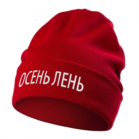 Шапка «Осень лень», красная купить с нанесением логотипа оптом на заказ в интернет-магазине Санкт-Петербург