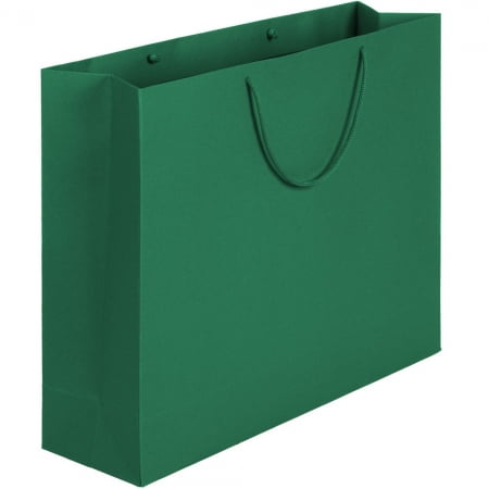 Пакет Ample L, зеленый купить с нанесением логотипа оптом на заказ в интернет-магазине Санкт-Петербург
