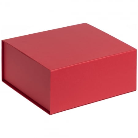 Коробка Amaze, красная купить с нанесением логотипа оптом на заказ в интернет-магазине Санкт-Петербург