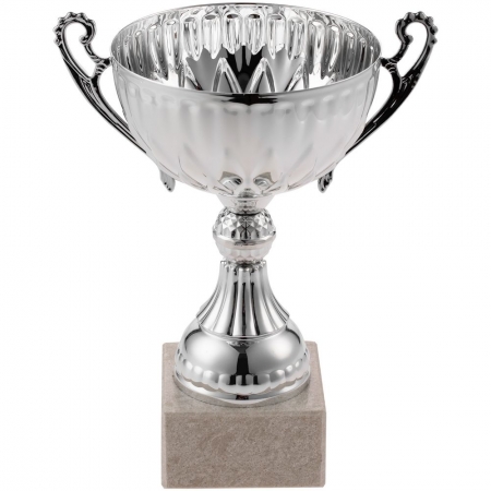 Кубок North King, средний, серебристый купить с нанесением логотипа оптом на заказ в интернет-магазине Санкт-Петербург
