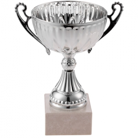 Кубок North King, большой, серебристый купить с нанесением логотипа оптом на заказ в интернет-магазине Санкт-Петербург