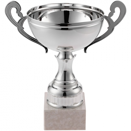 Кубок Appro, большой, серебристый купить с нанесением логотипа оптом на заказ в интернет-магазине Санкт-Петербург